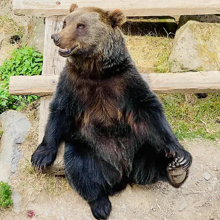 Mosel - Comfort & Relax トライス・カーデン