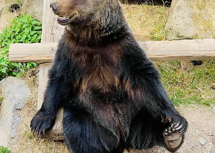 Mosel - Comfort & Relax Treis-Karden